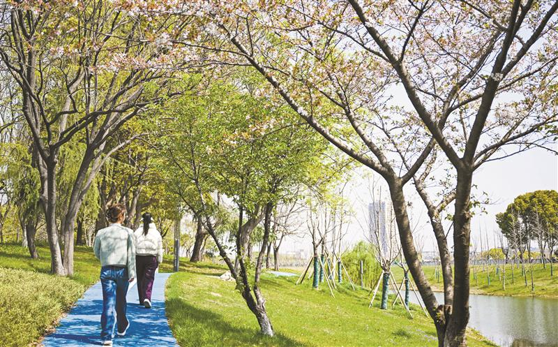 綠化景觀串聯(lián)16個園區(qū)、2片住宅區(qū)和6個公園 “超級公園大道”亮相新吳  
