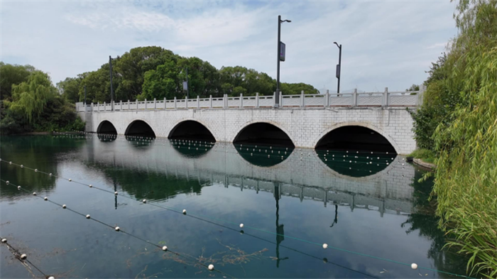 無(wú)錫蠡湖水域啟動(dòng)“種草”行動(dòng)，“水下荒地”加速成為“水下森林”